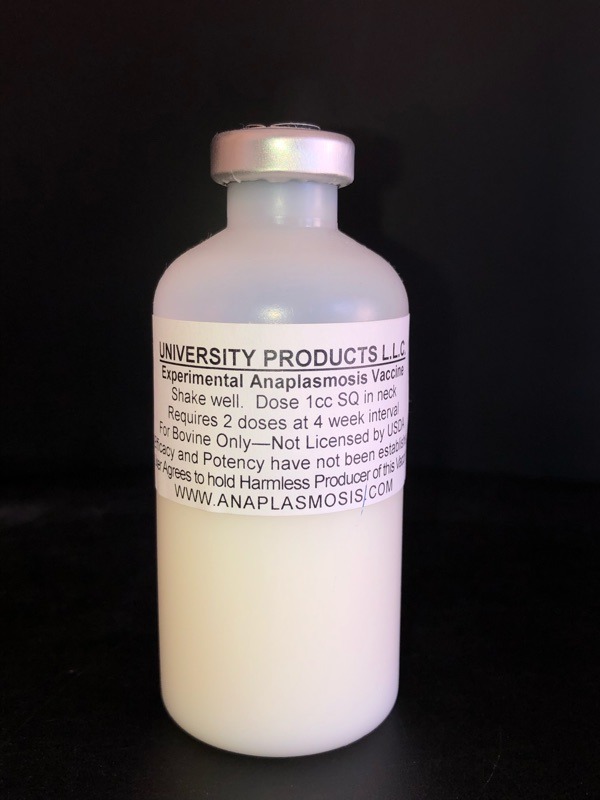 Experimental Anaplasmosis Vaccine